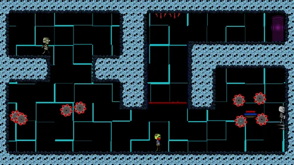 A variety of traps and obstacles